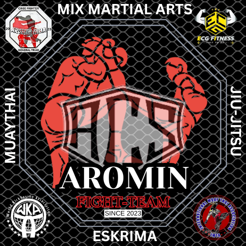 Aromin Combat Style logo